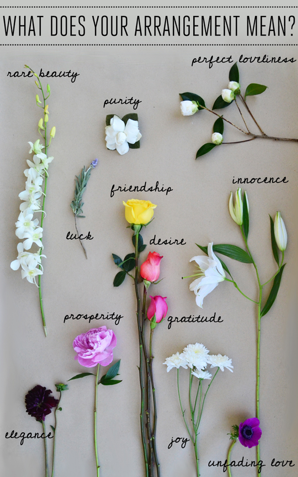 flower-symbolism-meaning-peonies-bouquet